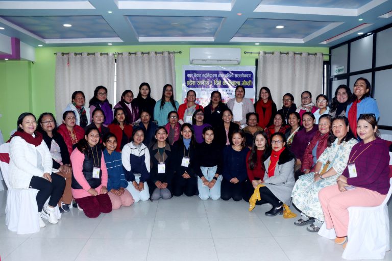 Province Level Workshop on Feminism and Gender Equality.